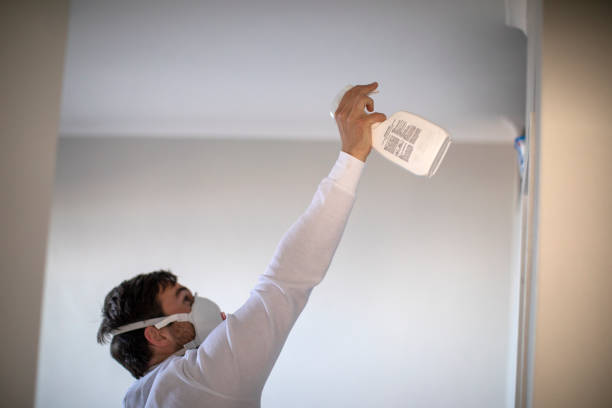 Best Certified Mold Removal  in Essex Junction, VT
