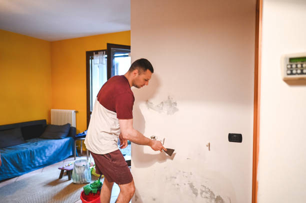Best Certified Mold Removal  in Essex Junction, VT